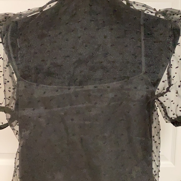 Tiny Willow black sheer crop top with attached cami - Size Medium - Picture 6 of 10